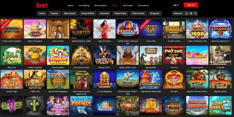 Trải nghiệm ngay những tựa game đỉnh cao iBet RGbet