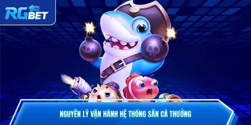 Nguyên lý vận hành hệ thống săn cá thưởng