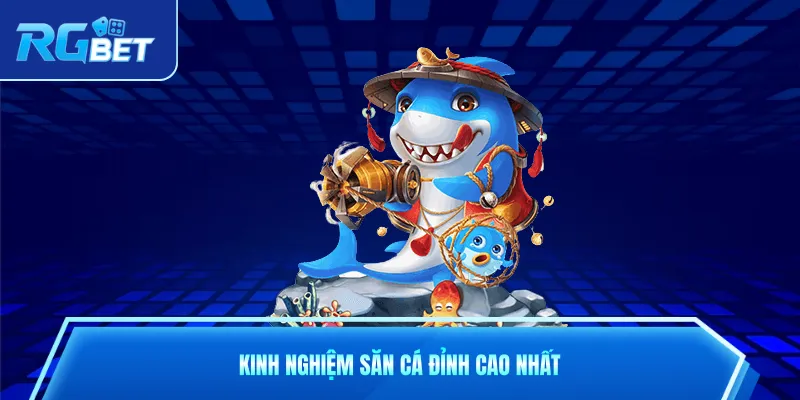 Kinh nghiệm săn cá đỉnh cao nhất