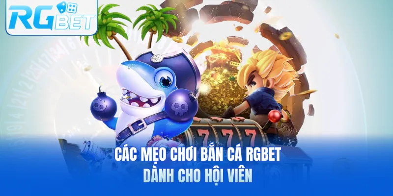 Các mẹo chơi bắn cá RGbet dành cho hội viên