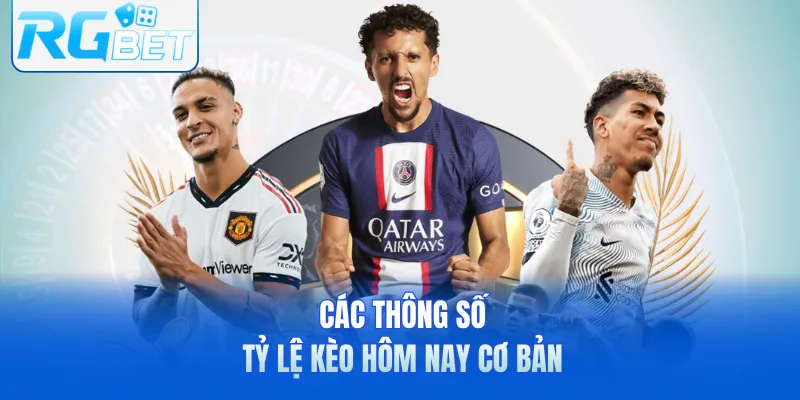 Các thông số tỷ lệ kèo hôm nay cơ bản