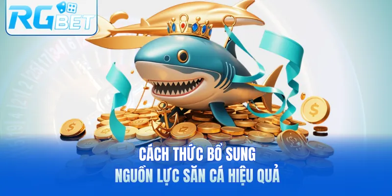 Cách thức bổ sung nguồn lực săn cá hiệu quả