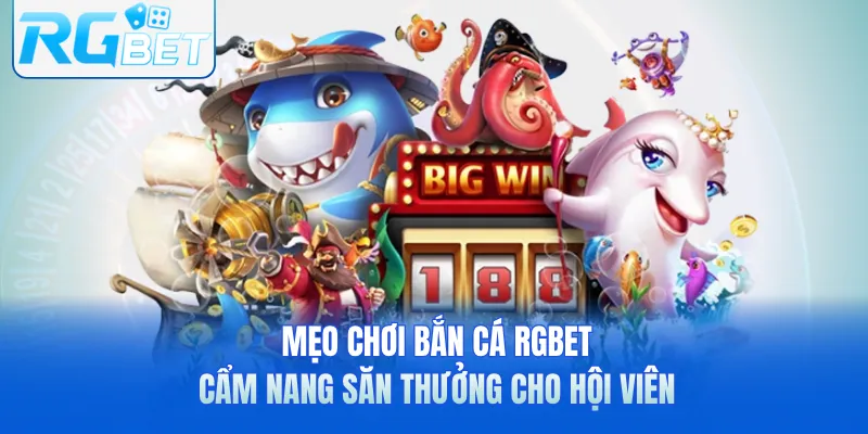 Mẹo Chơi Bắn Cá RGbet – Cẩm Nang Săn Thưởng Cho Hội Viên