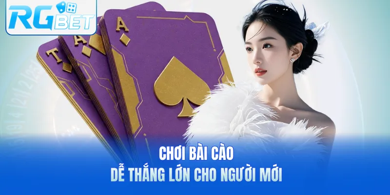 Chơi bài cào dễ thắng lớn cho người mới