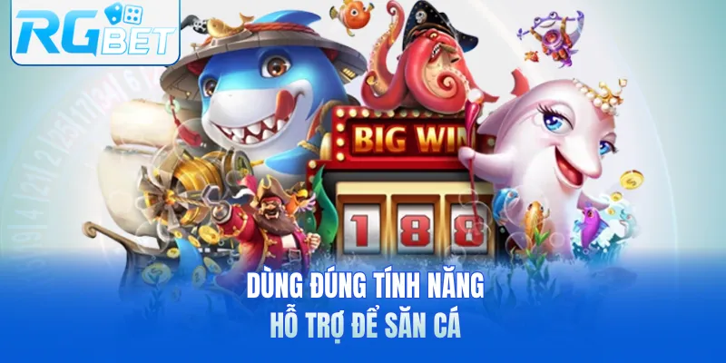 Dùng đúng tính năng hỗ trợ để săn cá