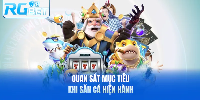 Quan sát mục tiêu khi săn cá hiện hành