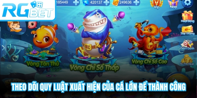 Theo dõi quy luật xuất hiện của cá lớn để tăng khả năng săn thành công