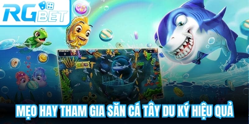 Mẹo hay tham gia săn cá tây du ký hiệu quả