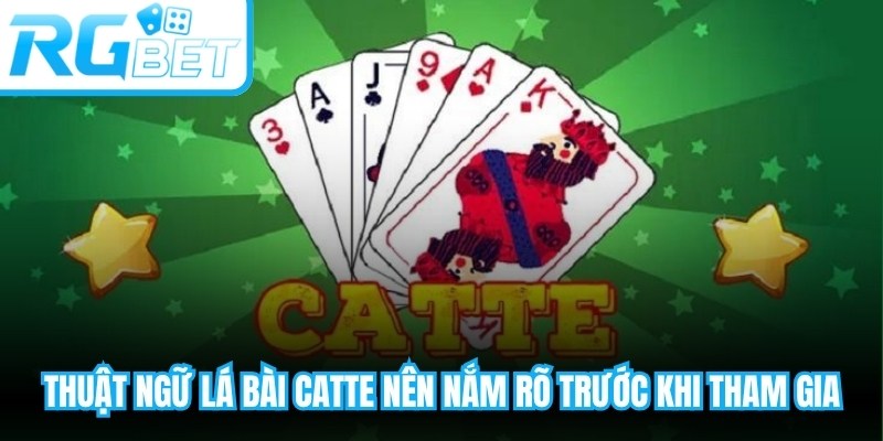 Thuật ngữ lá bài Catte nên nắm rõ trước khi chính thức tham gia