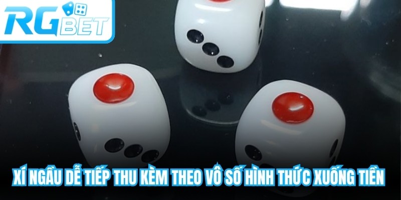 Xí Ngầu dễ tiếp thu kèm theo vô số hình thức xuống tiền thú vị