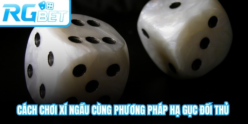 Cách chơi Xí Ngầu cùng phương pháp hạ gục đối thủ siêu tốc