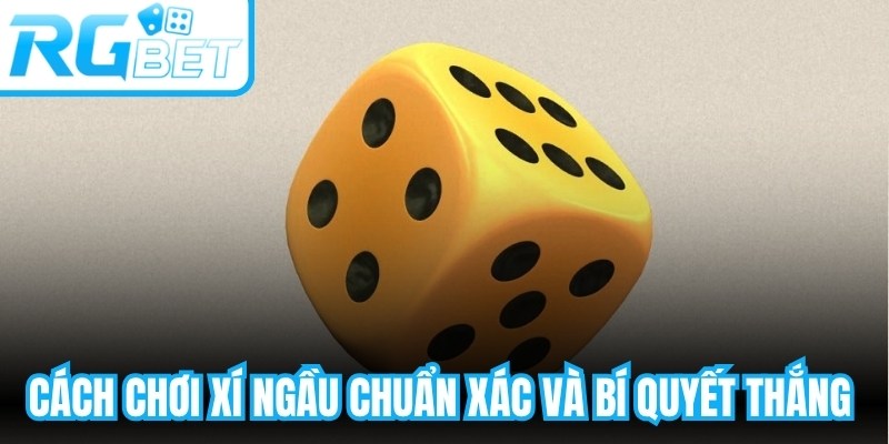 Cách Chơi Xí Ngầu