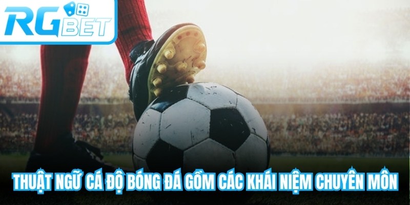 Thuật ngữ cá độ bóng đá gồm tập hợp các khái niệm chuyên môn