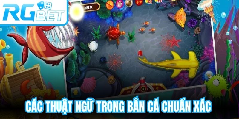 Các Thuật Ngữ Trong Bắn Cá